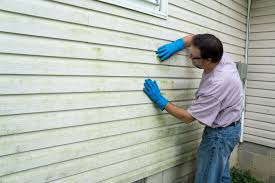 Best Wood Siding Installation  in Tton, IL